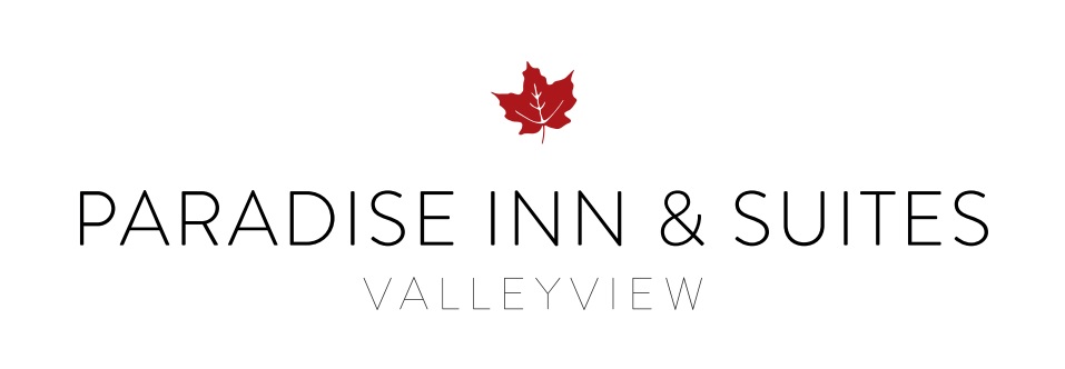 valleyview logo